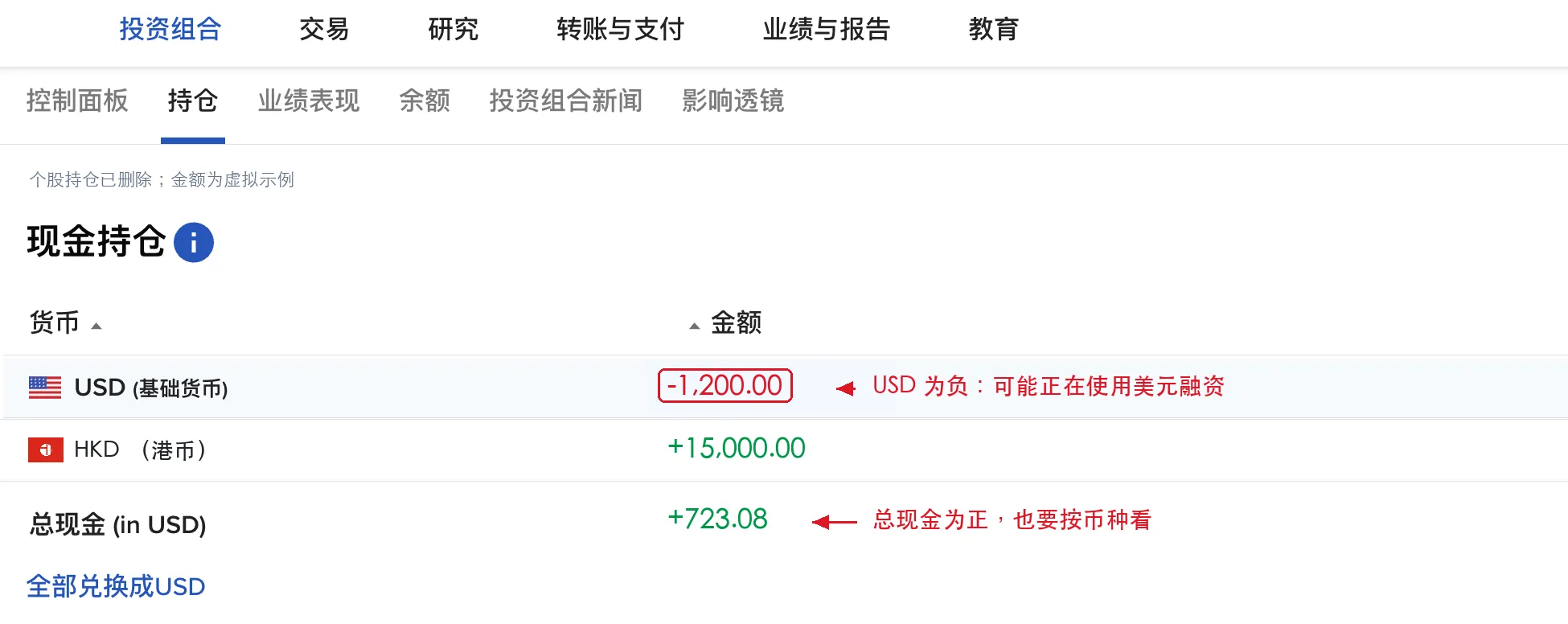 IBKR 组合页面现金余额示意图